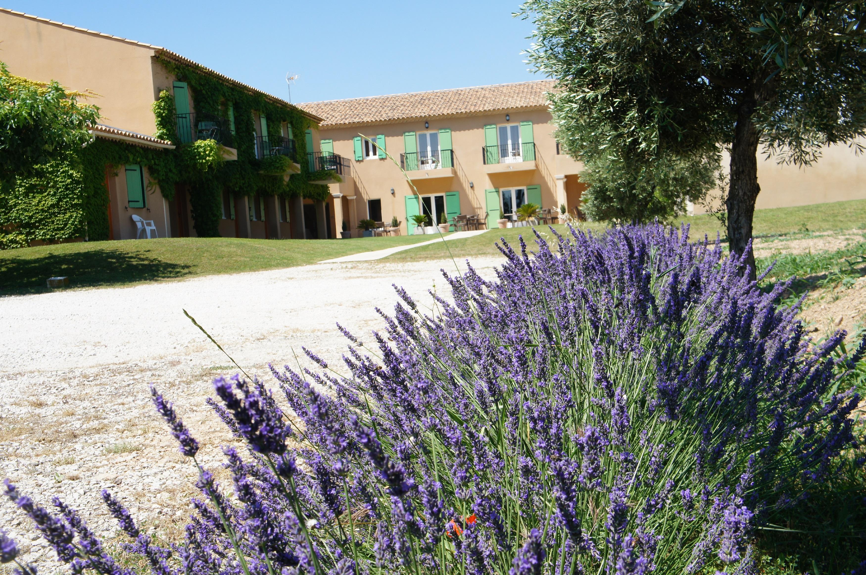 Hotel Terriciae Aux Portes De Maussane Les Alpilles 외부 사진