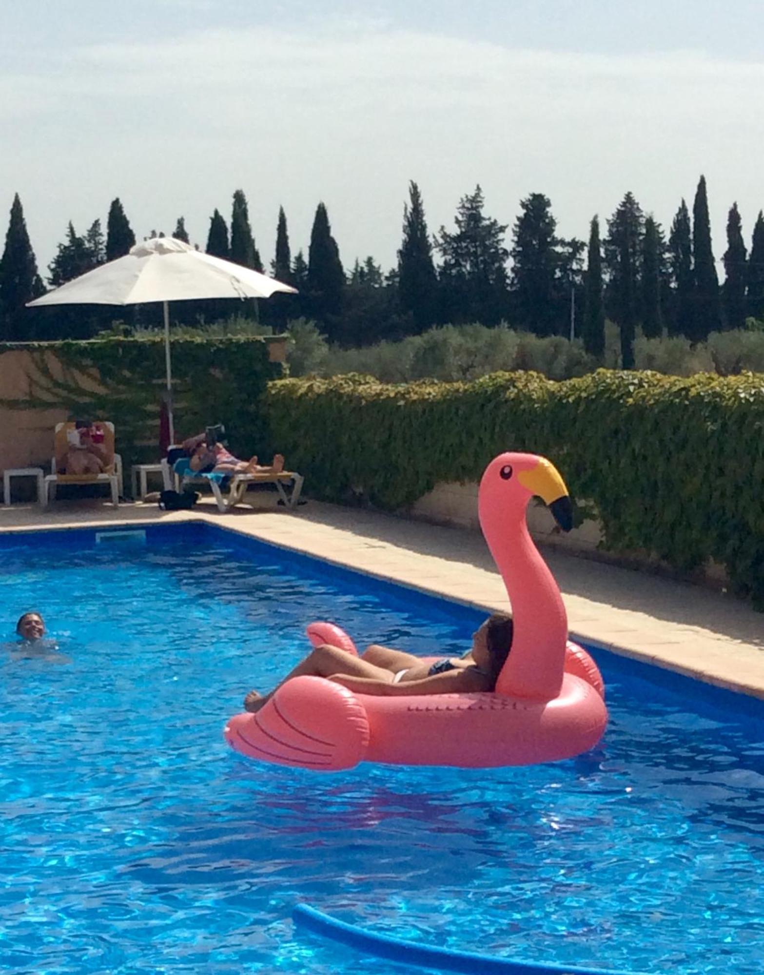Hotel Terriciae Aux Portes De Maussane Les Alpilles 외부 사진